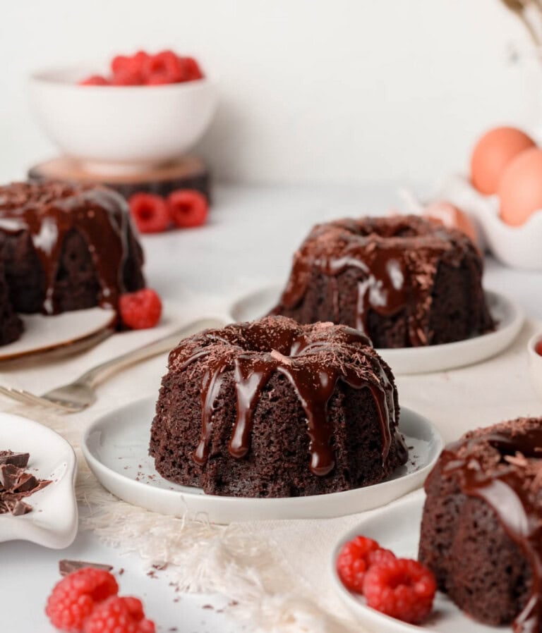 mini chocolate bundt cake with chocolate ganache and chocolate shavings with raspberries