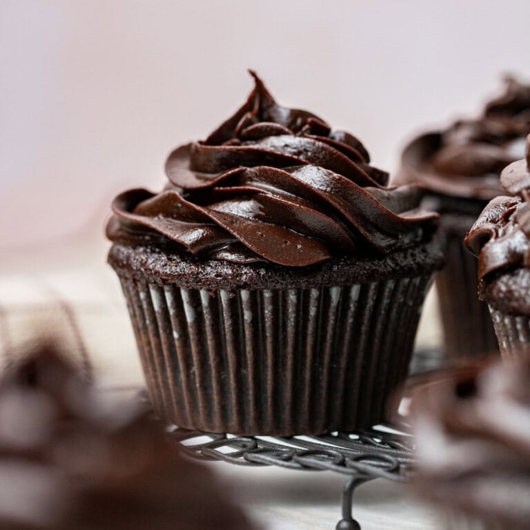 chocolate fudge cupcakes with chocolate fudge frosting