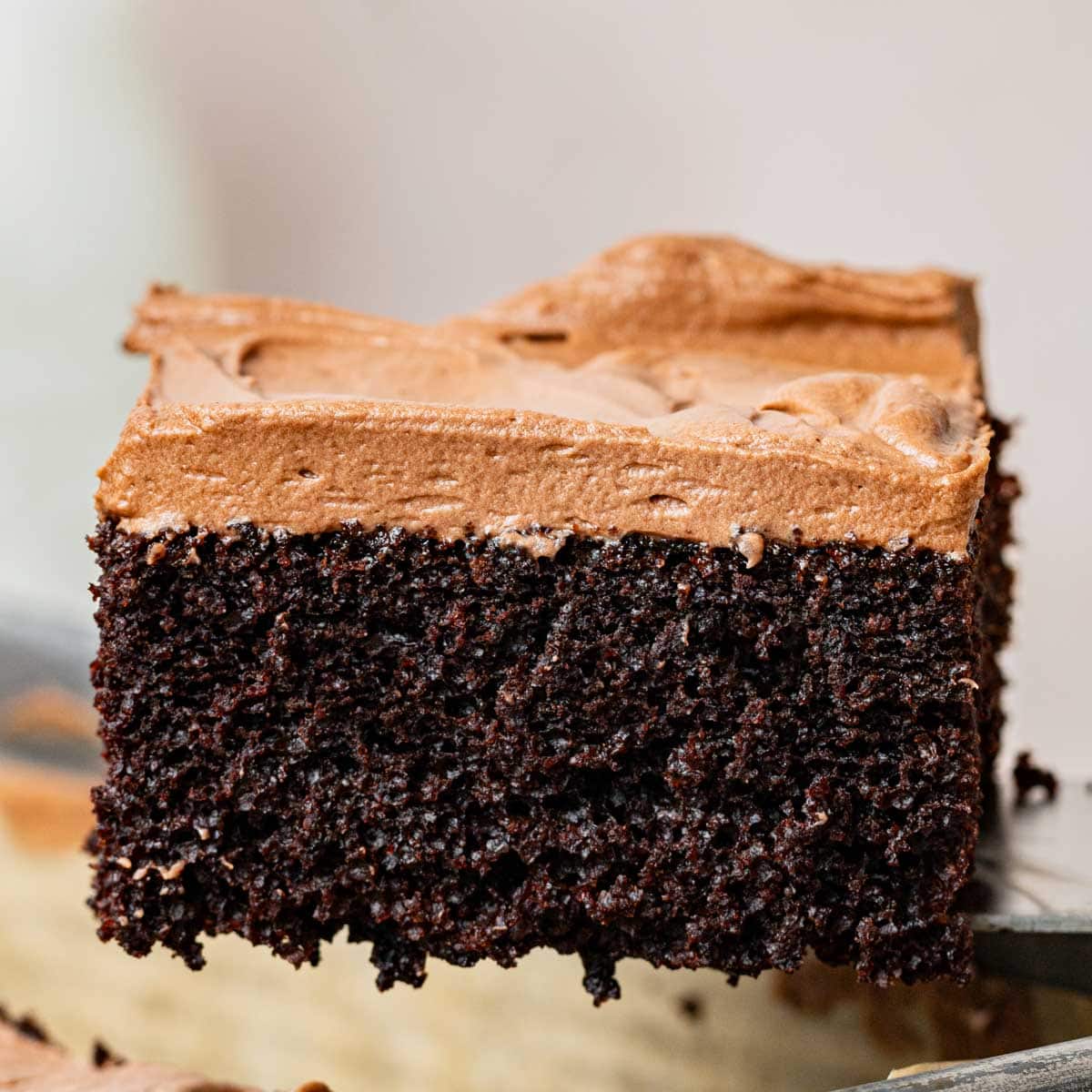 Chocolate Sheet Cake with Cream Cheese Frosting | Sift With Kima