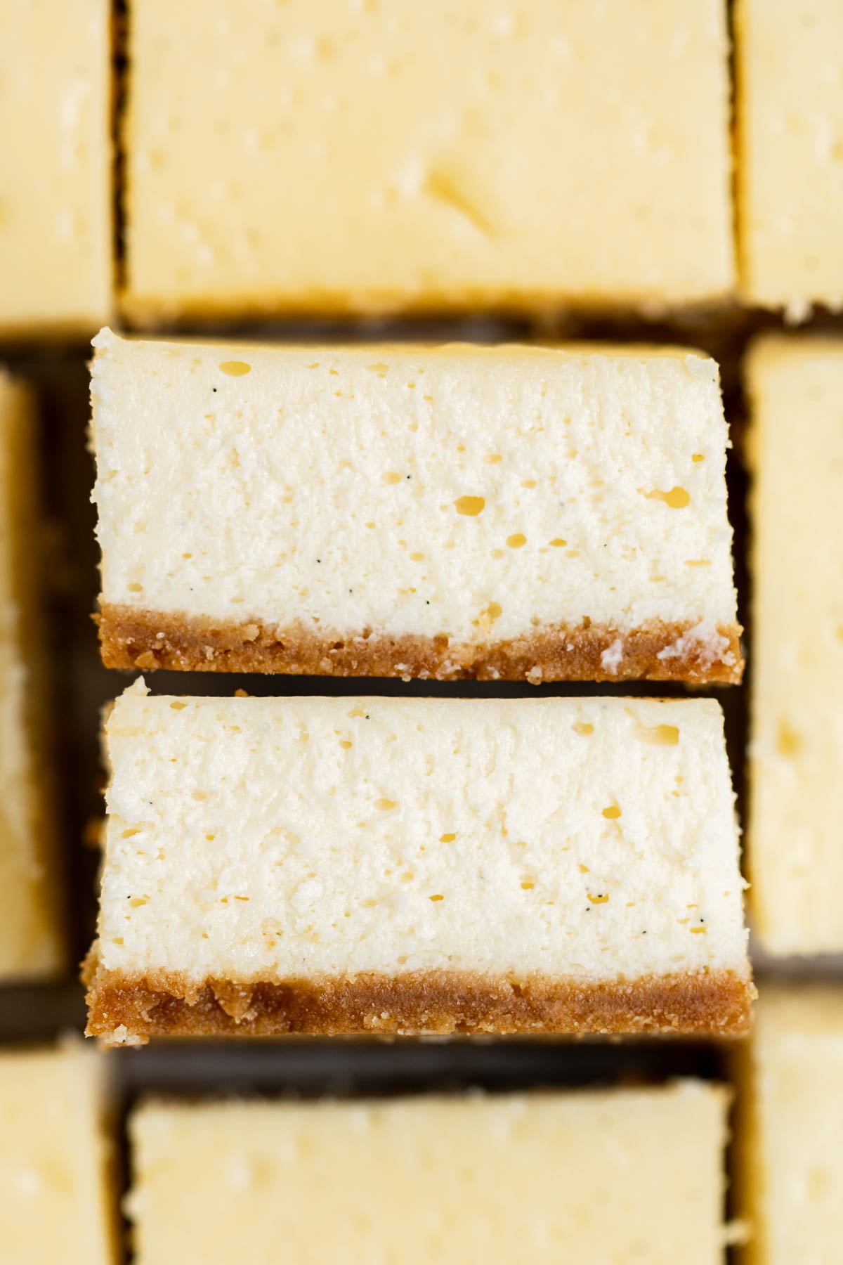 vanilla bean cheesecake with graham cracker crust and flecks of vanilla bean seeds